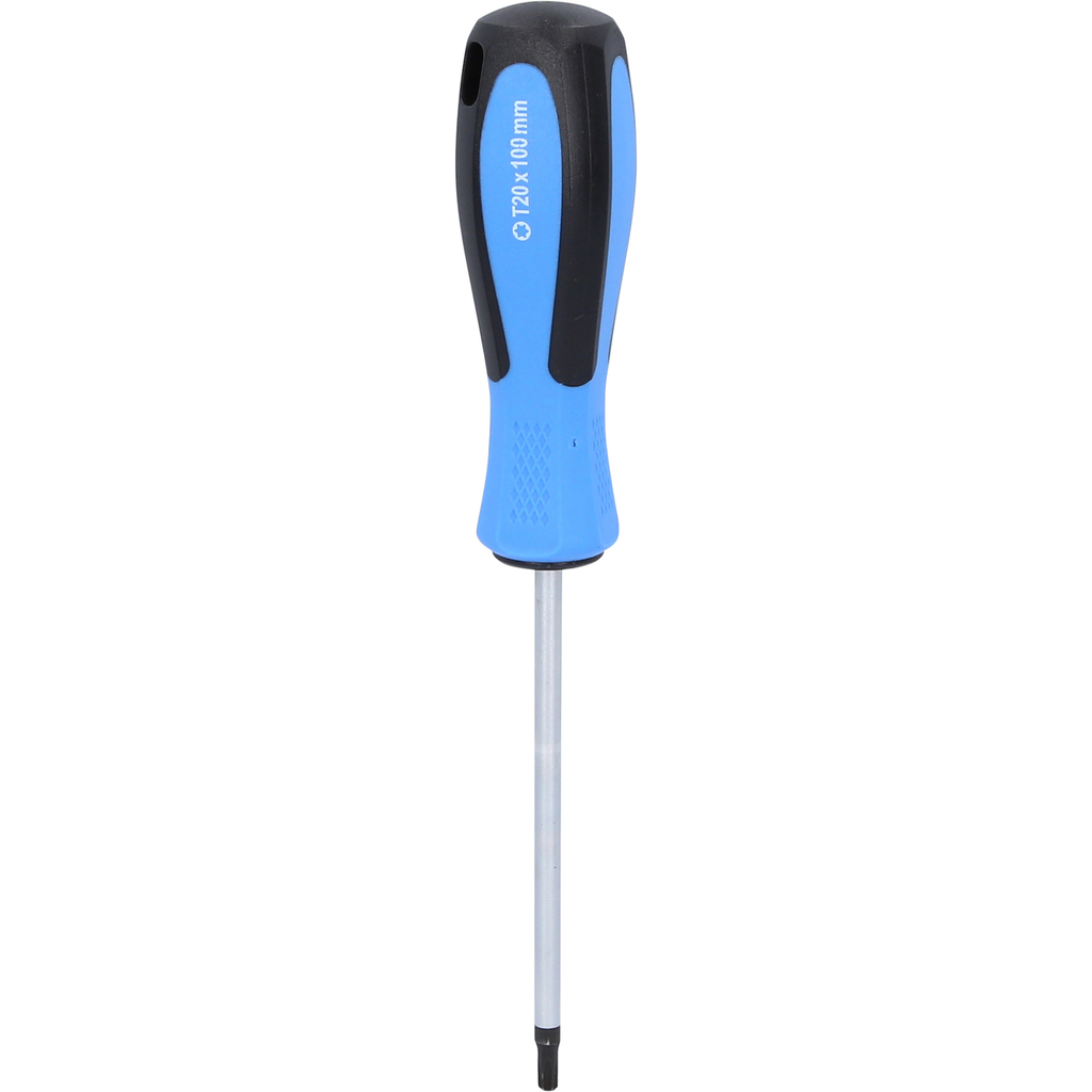 Tournevis TORX, T20 x 100 mm