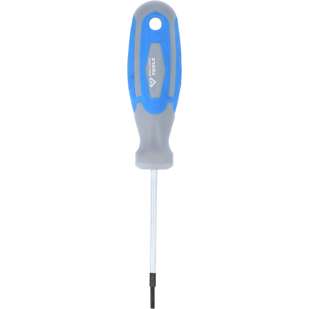 Schraubendreher Schlitz 2mm