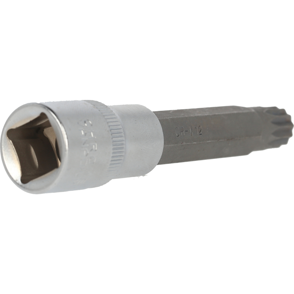 Douille denture multiple 1/2", longueur 100 mm, M12