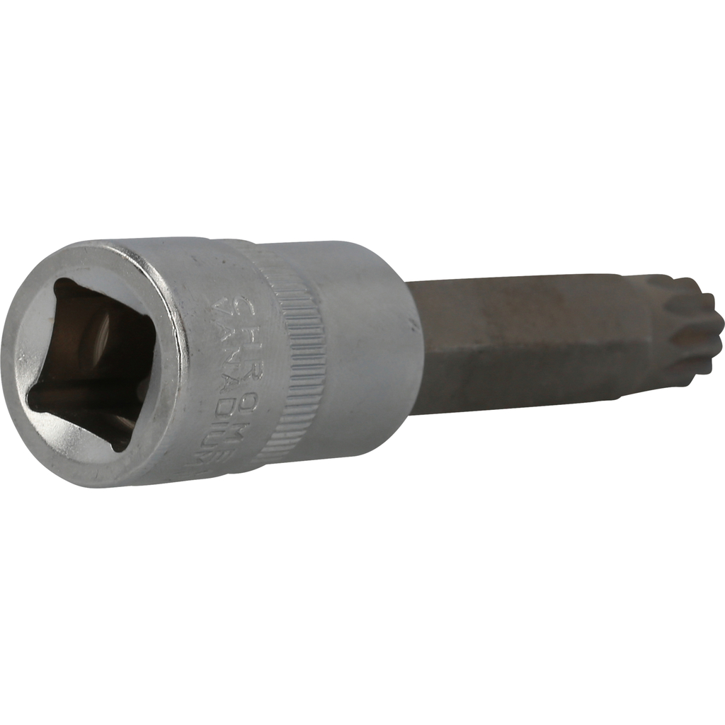 Douille denture multiple 1/2", longueur 100 mm, M14