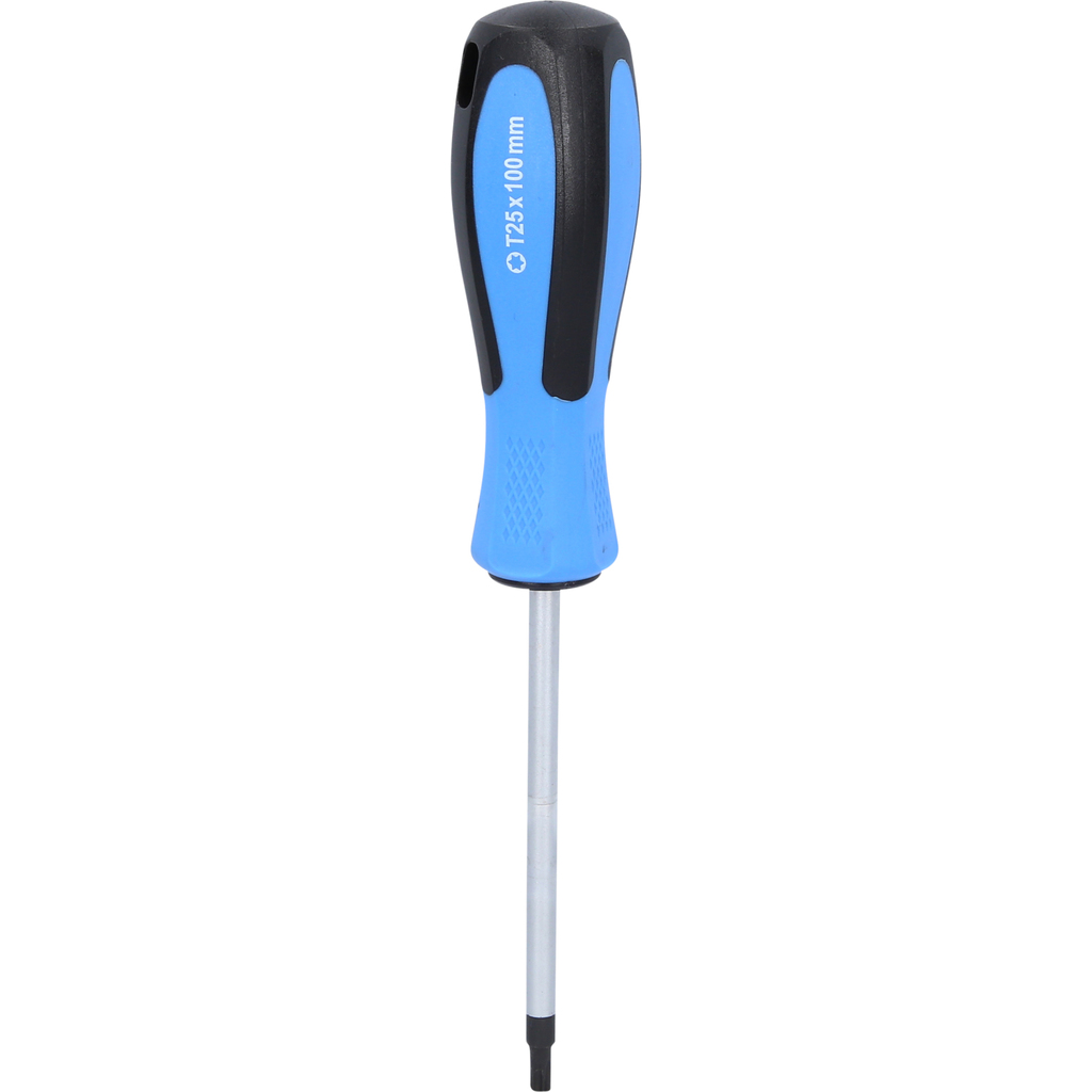 Tournevis TORX, T25 x 100 mm