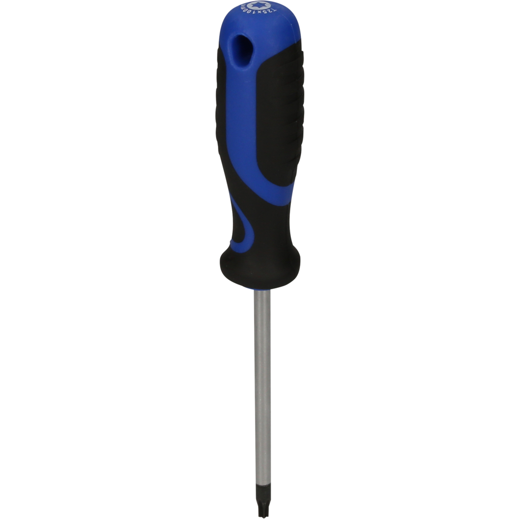 Tournevis TORX, T25